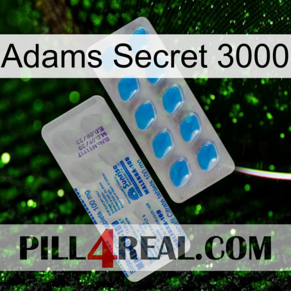 Adams Secret 3000 new15.jpg